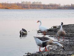 -沈阳市东陵公园