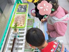 -徐汇区新宜幼稚园