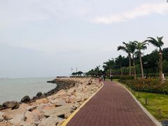 -野狸岛