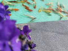 -南通洲际绿博园