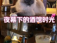-故遥酒馆.赛事直播
