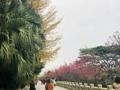 -清远国际酒店-圣保罗西餐厅