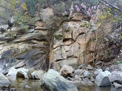 -黑龙潭风景区