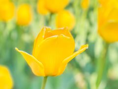 -长春公园(普阳街道)