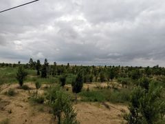 -银肯塔拉沙漠生态旅游景区