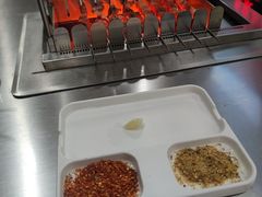 -邢氏老太太烧烤(南山店)