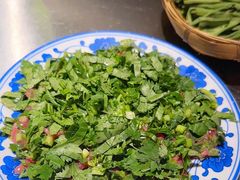 香菜牛肉丝-朱光玉火锅馆(小寨原力场店)