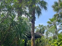 -广州都喜泰丽温泉度假酒店