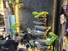 -朝来春花卉市场