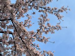 -龙美术馆(西岸馆)
