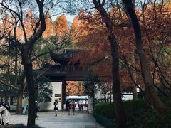 -虎跑公园