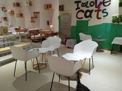 -藏猫猫咖啡主题馆(中央大道店)