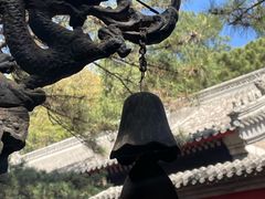 -红螺寺