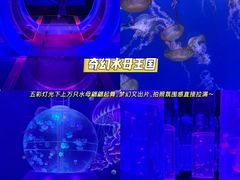 -海合安武汉极地海洋公园