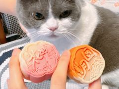 -北京稻香村(广安门店)