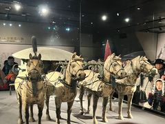 -秦始皇帝陵博物院-丽山园