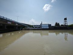 -高东镇樱花园