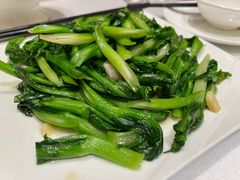 白灼菜心-锦粤宫·精致粤菜(深圳北站店)