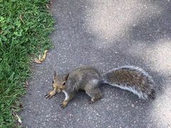 -北京大学-学五食堂