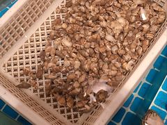 水产区-鼎原力量东北吊炉烧烤(临河街店)