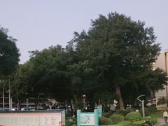-广西医科大学第一附属医院