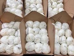 -舒小笼松针小笼包