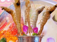 活对虾-尚轩·海南鸡饭