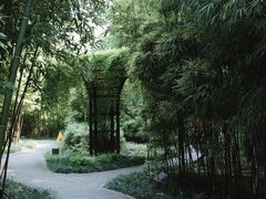 -望江楼公园