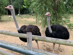 -大连森林动物园