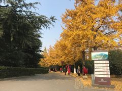 -淮海战役纪念馆
