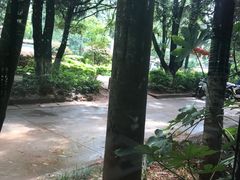 景观位-新竹里馆·花园餐厅(兴苑路店)