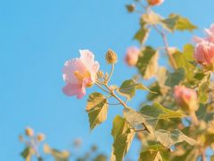 -西安市长乐公园