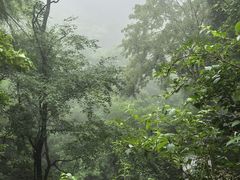 -藏龙百瀑风景区