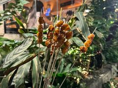-贰醒·私房小院烧烤 (太古里店)