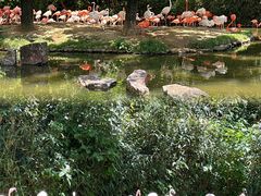 -上海野生动物园