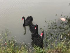 -上海杨姆庄园