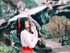 -龙湾潭国家森林公园