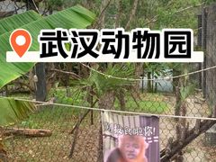 -武汉动物园