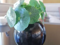 -北京云瑧金陵莲花酒店·莲·川小馆