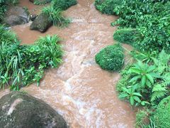 -赤水丹霞旅游区·佛光岩