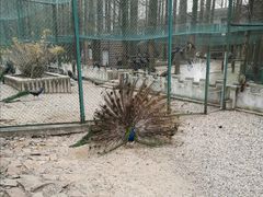 -南京金牛湖风景区