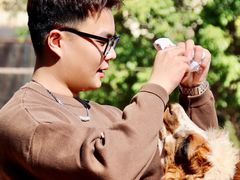 -灵玲国际马戏城