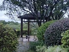 -深圳博林圣海伦酒店