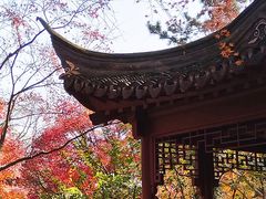 -秋霞圃