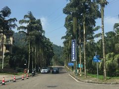 -重庆南山海昌汤都