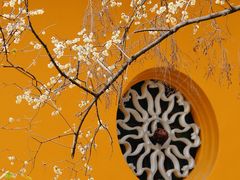 -西园戒幢律寺