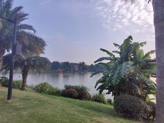 -枫香湖儿童公园