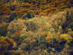 -叠溪松坪沟景区