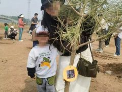 -伊顿幼儿园(棕榈泉校园)