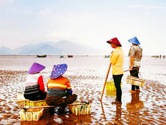 -刘家湾赶海园